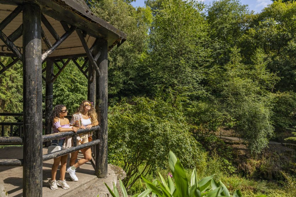 Visitors at a wooden shelter among the trees in Pittencrieff Park, Dunfermline